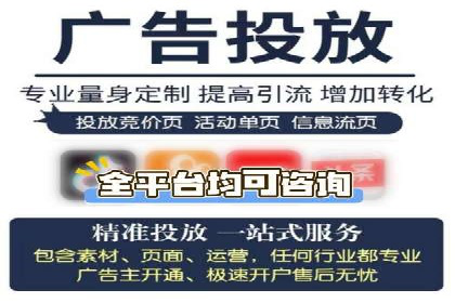 某公司SEM推广的失败教训与成功经验